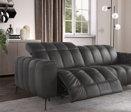 homepage leather sofa container